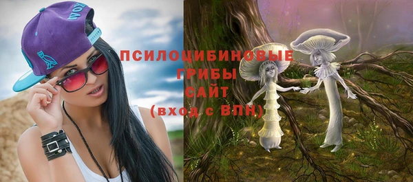 соль курить ск Ладушкин