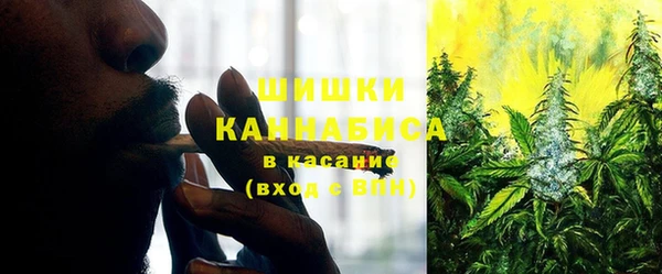 соль курить ск Ладушкин